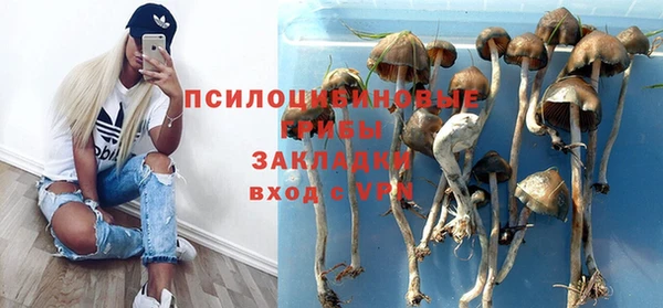 не бодяженный Баксан