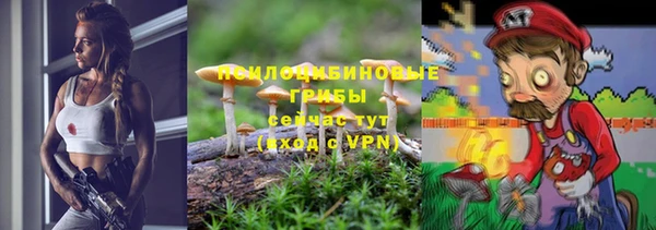 дмт Балахна