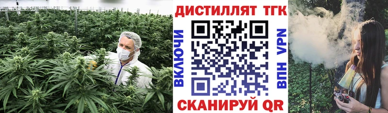 ТГК THC oil  магазин продажи   Куртамыш 