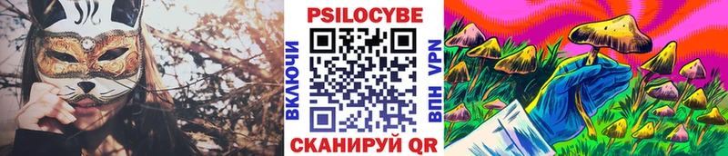 Псилоцибиновые грибы ЛСД  kraken зеркало  Куртамыш 